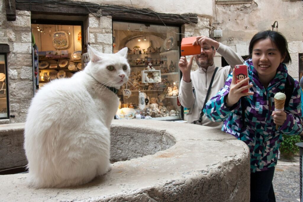 Saint-Paul-de-Vence