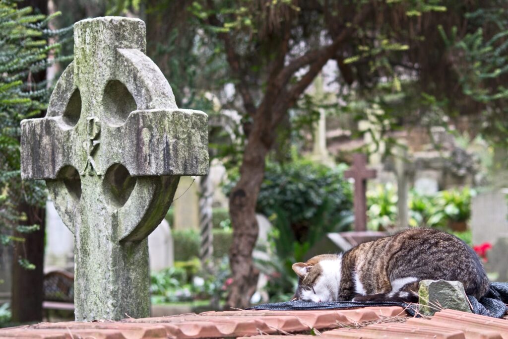 Rome Protestant Cemetery