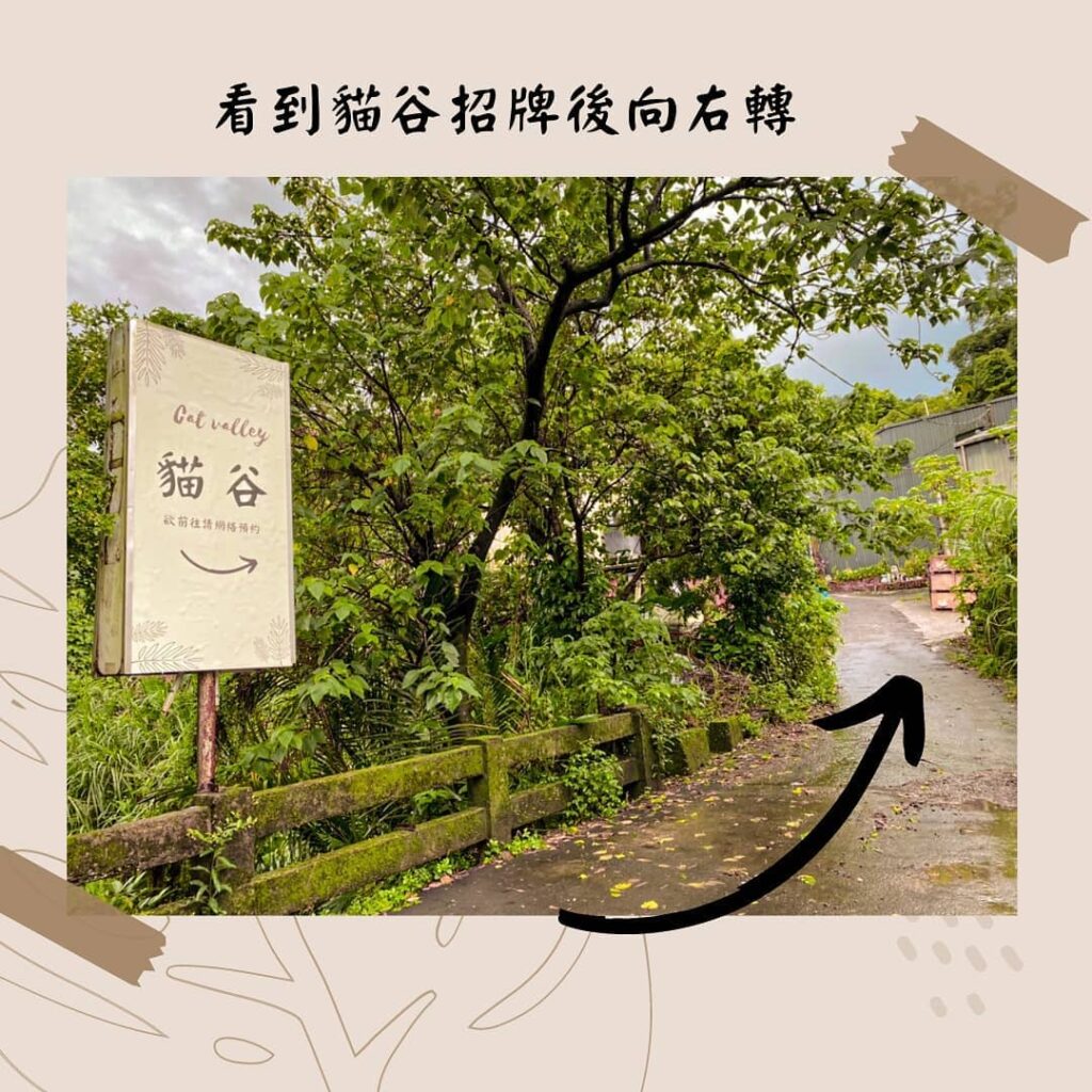 Cat Valley Taipei