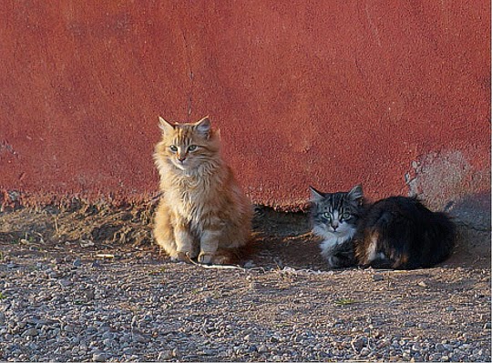 Ojos Negros Mexico