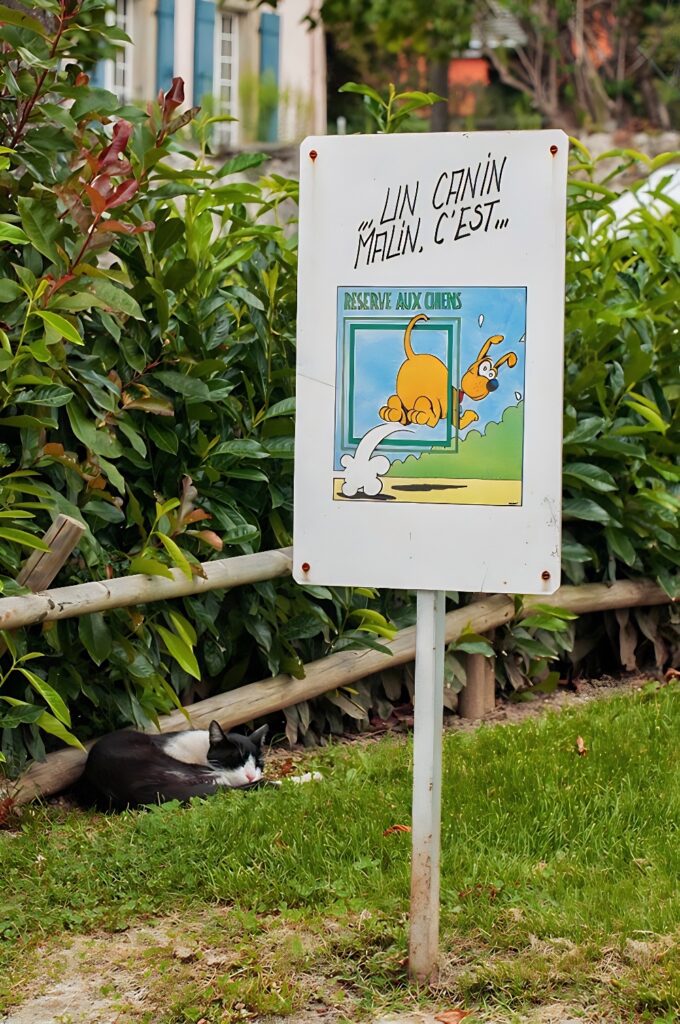 cats not allowed sign