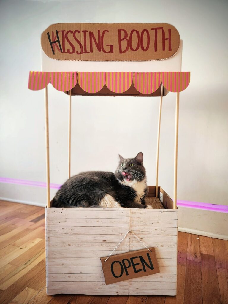 Espurresso Cat Café in Lawrence