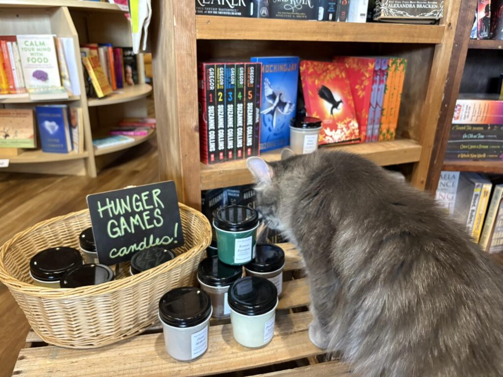 The Literary Cat in Pittsburg