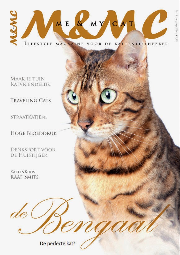 Me And My Cat