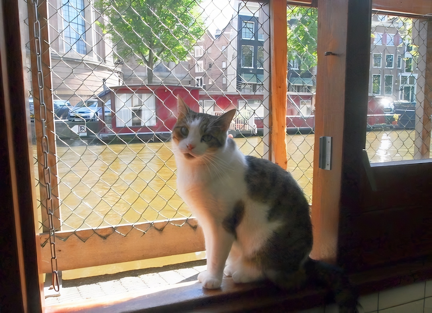 Poezenboot Amsterdam