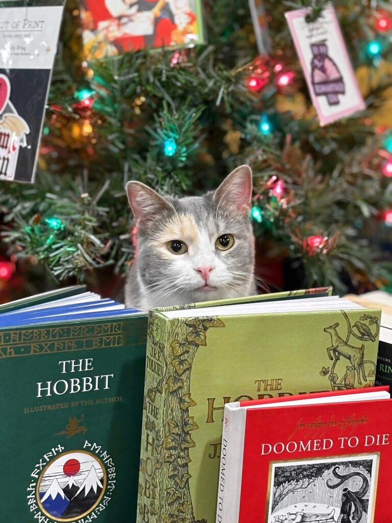 The Literary Cat