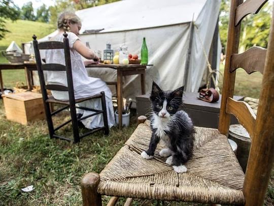 Battle of Perryville commemoration