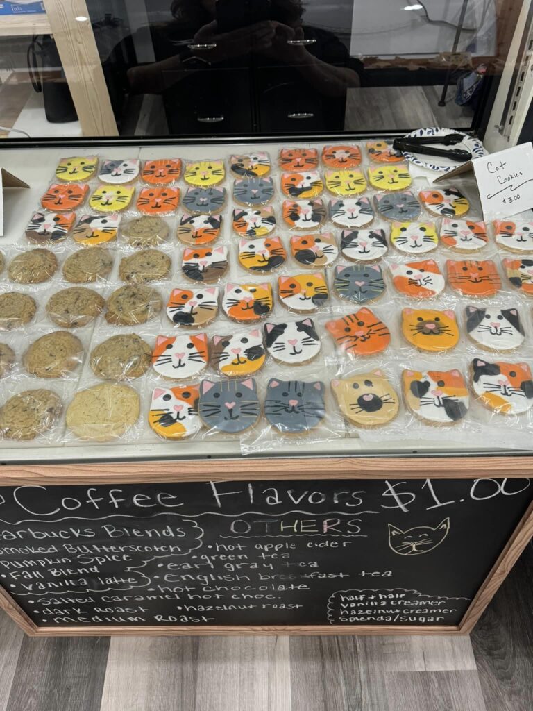 cat-shaped cookies at Tortitude Cat Cafe in Paducah