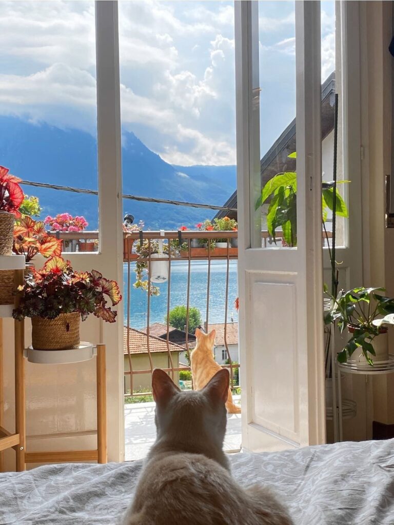 view from window in Lake Como