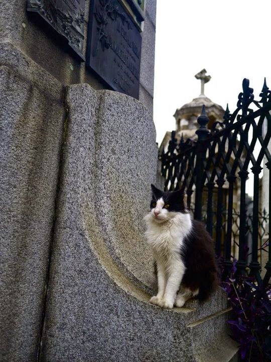 recoleta argentina