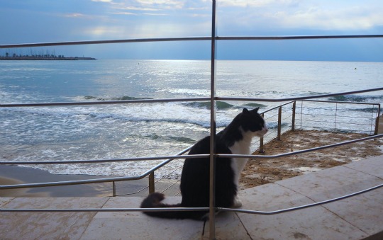sitges beach