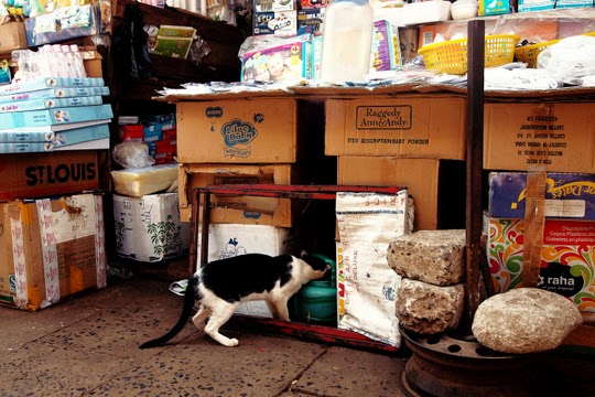 albert market banjul