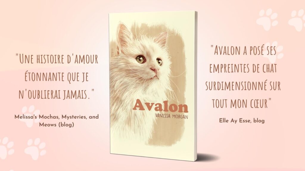 bar à chats