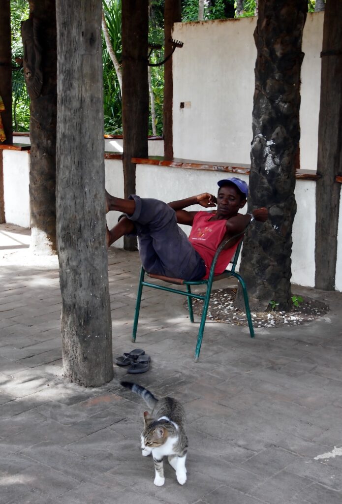 Base Camp Gambia