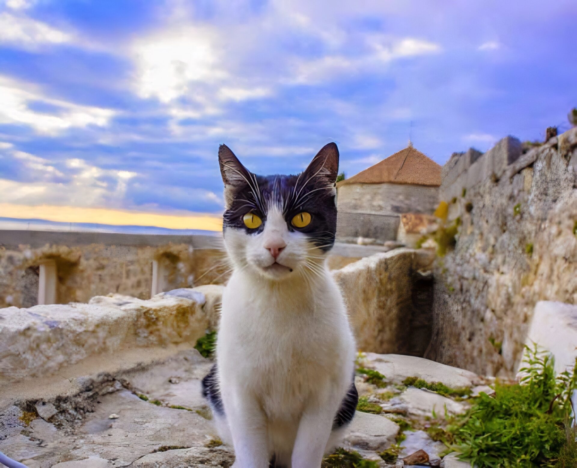 Klis Fortress Croatia