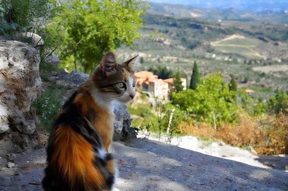 Mystras Greece