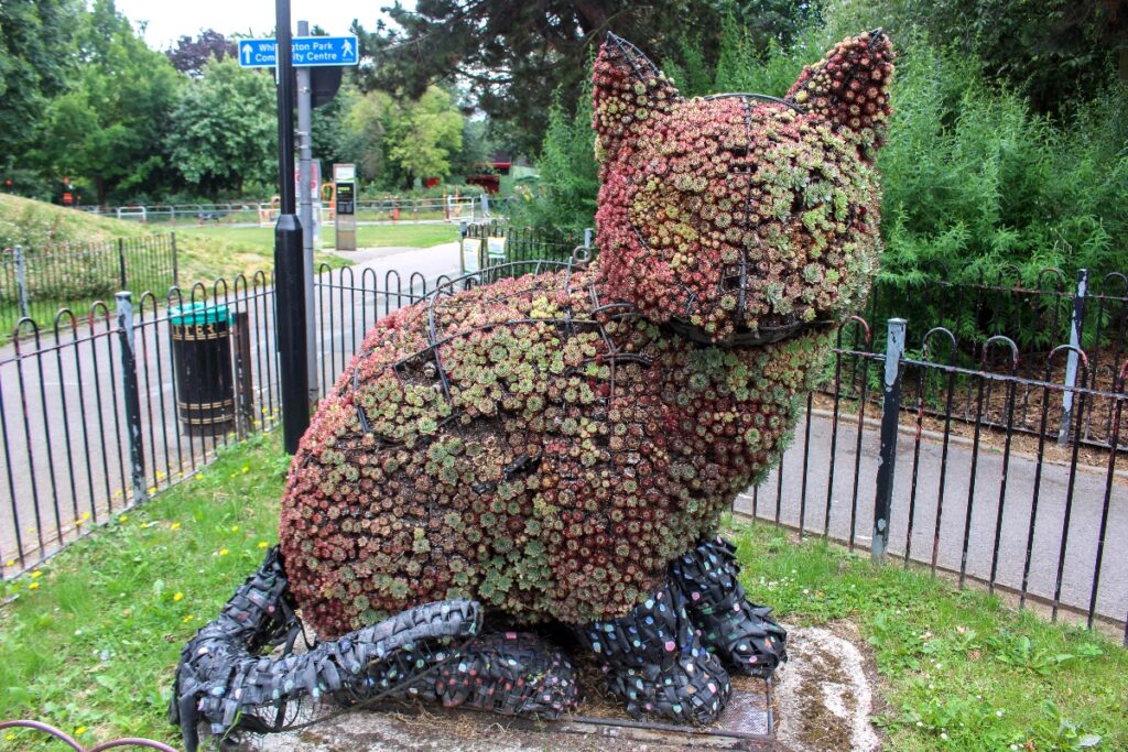 Whittington Cat