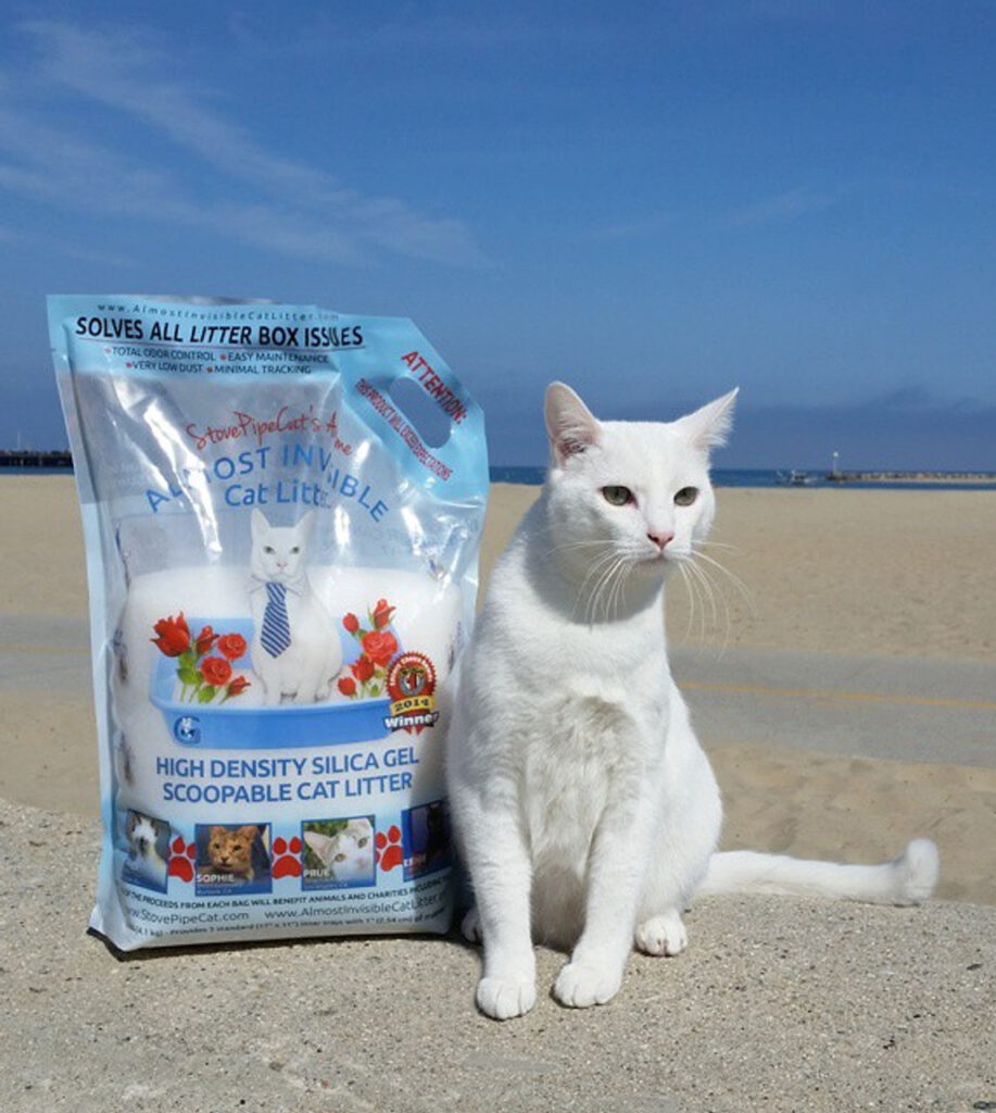 Almost Invisible Cat Litter