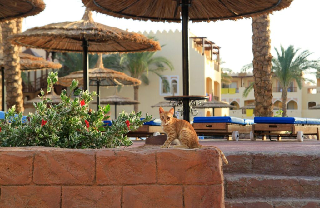 Best places to stay in The Gambia