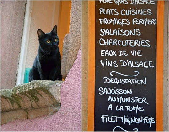 cat pictures restaurant