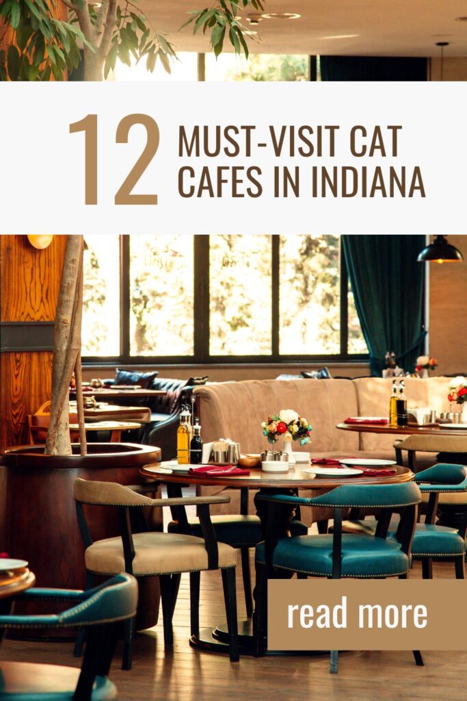 must-visit cafes in Indiana