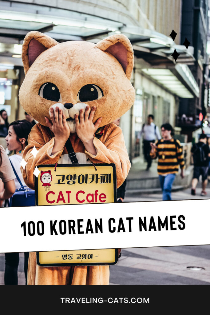 Korean cat names