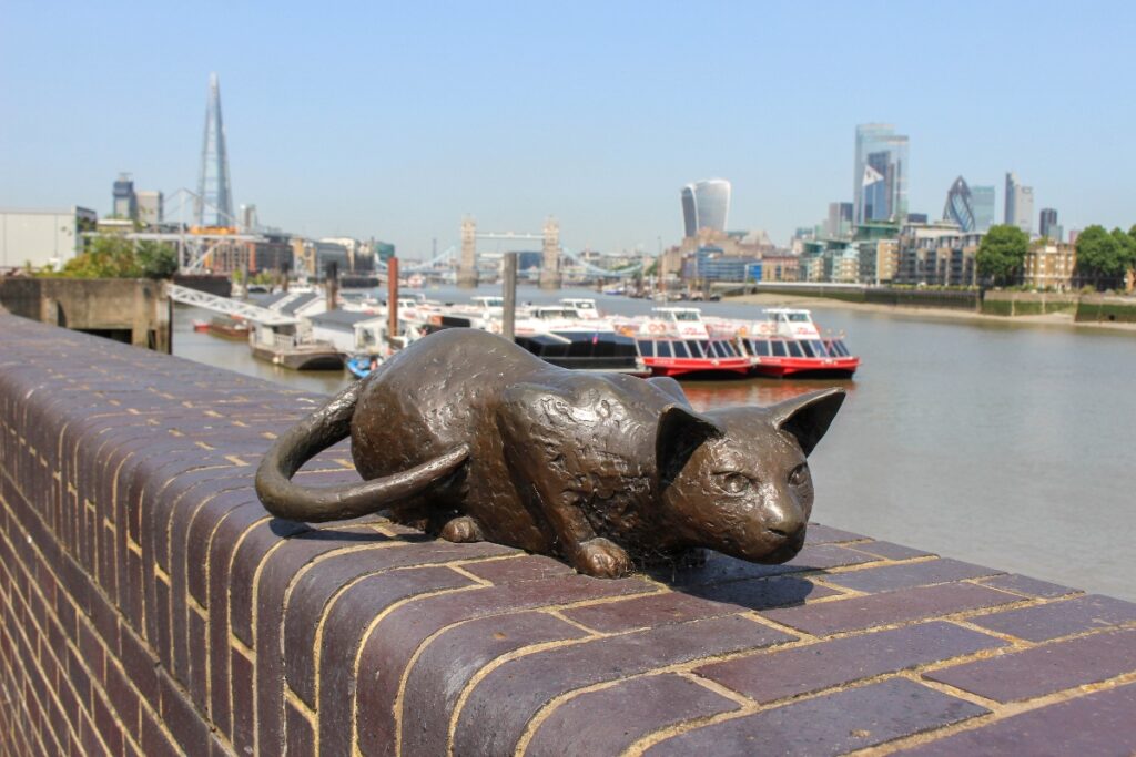 London Salter's Cat