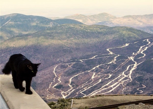 mount washington