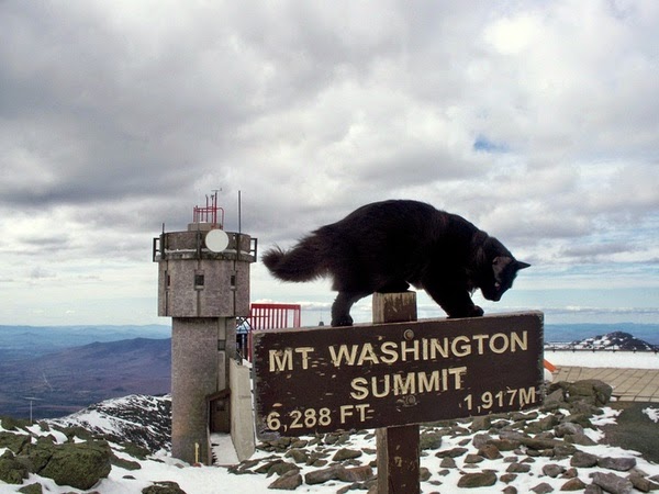mount washington
