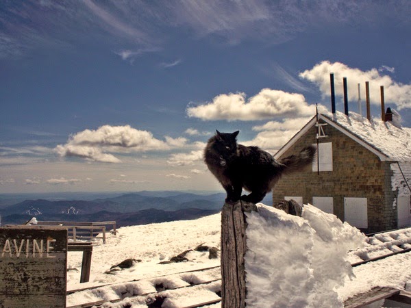 mount washington new hampshire
