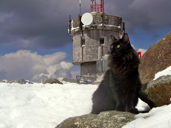 mount washington observatory