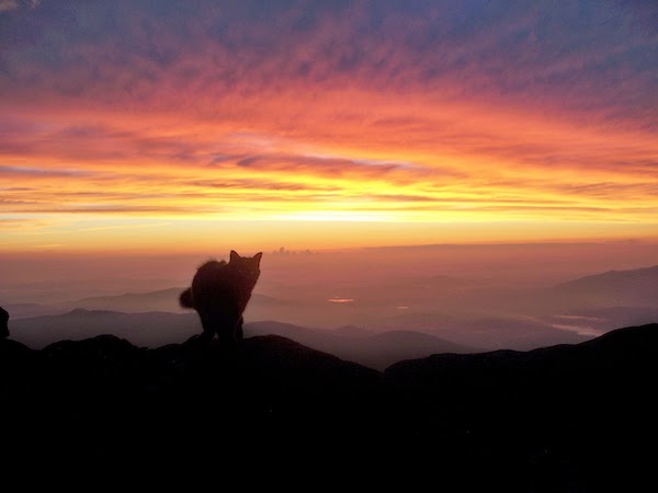 mount washington sunet