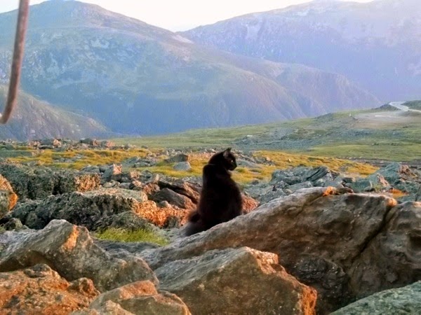 mt washington state park