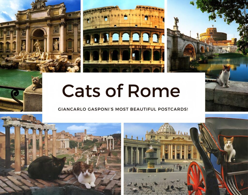 Giancarlo Gasponi's Cats of Rome