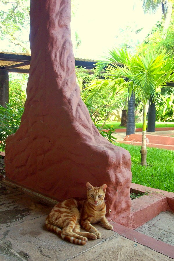 Senegambia Beach Hotel