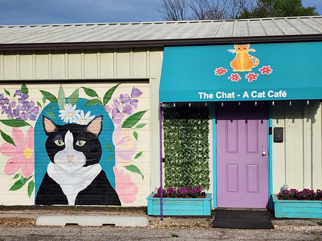 The Chat cat cafe