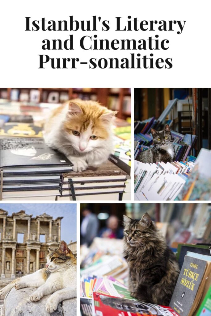 cats in literature and film