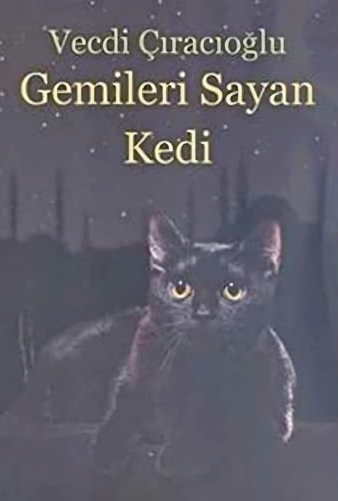 Gemileri Sayan Kedi by Vecdi Çıracıoğlu