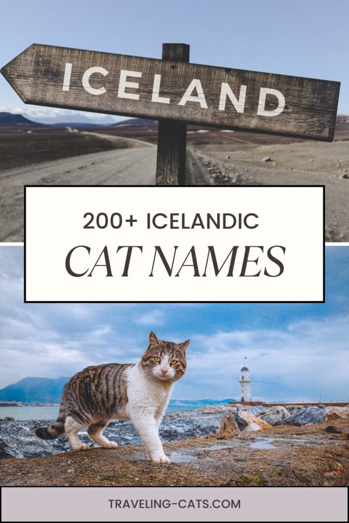cat names from Iceland