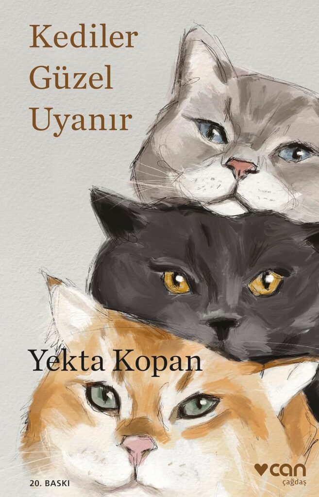 Kediler Güzel Uyanır by Yekta Kopan