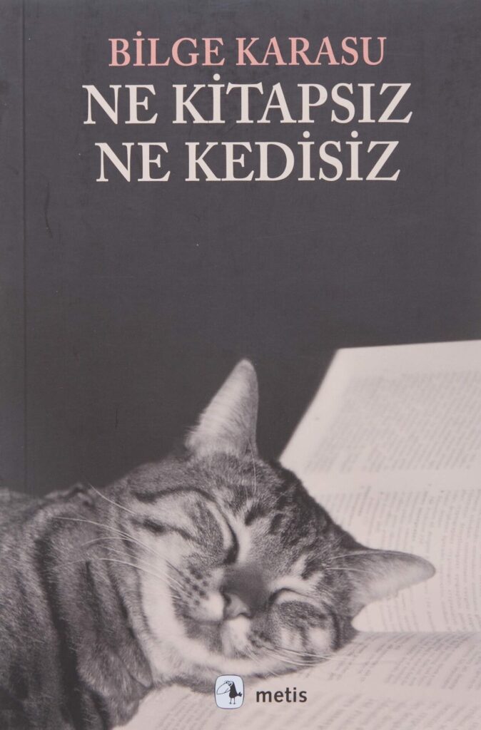 Ne Kitapsız Ne Kedisiz by Bilge Karasu