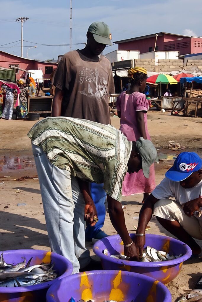 Tanji Fish Market Gambia
