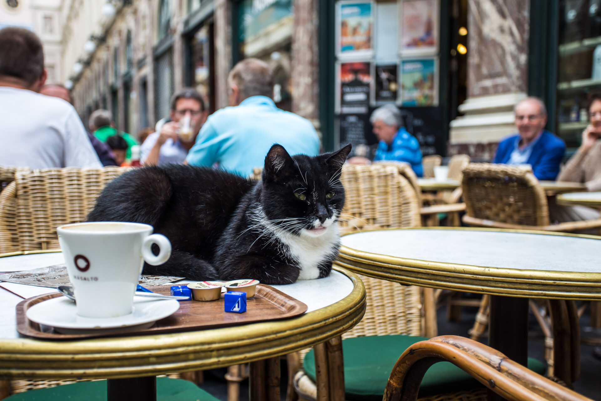 Mokafe Bruxelles
