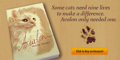 french cat book