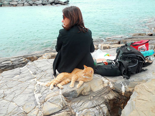 beach cat