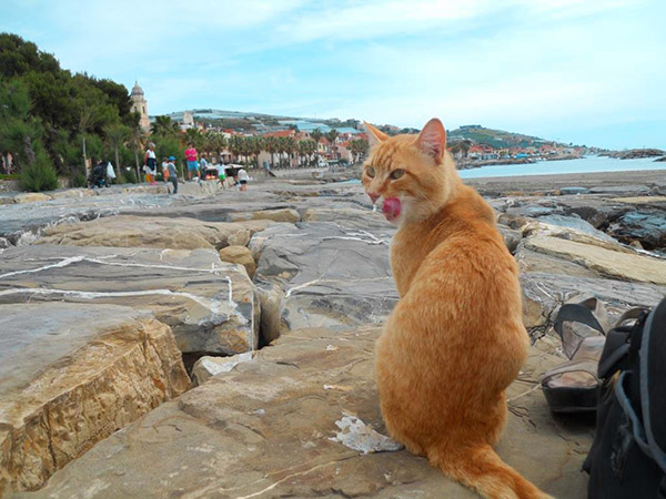 riva ligure italy