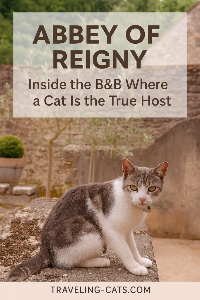 Abbey of Reigny