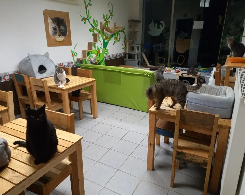 Chacolathé Andenne
