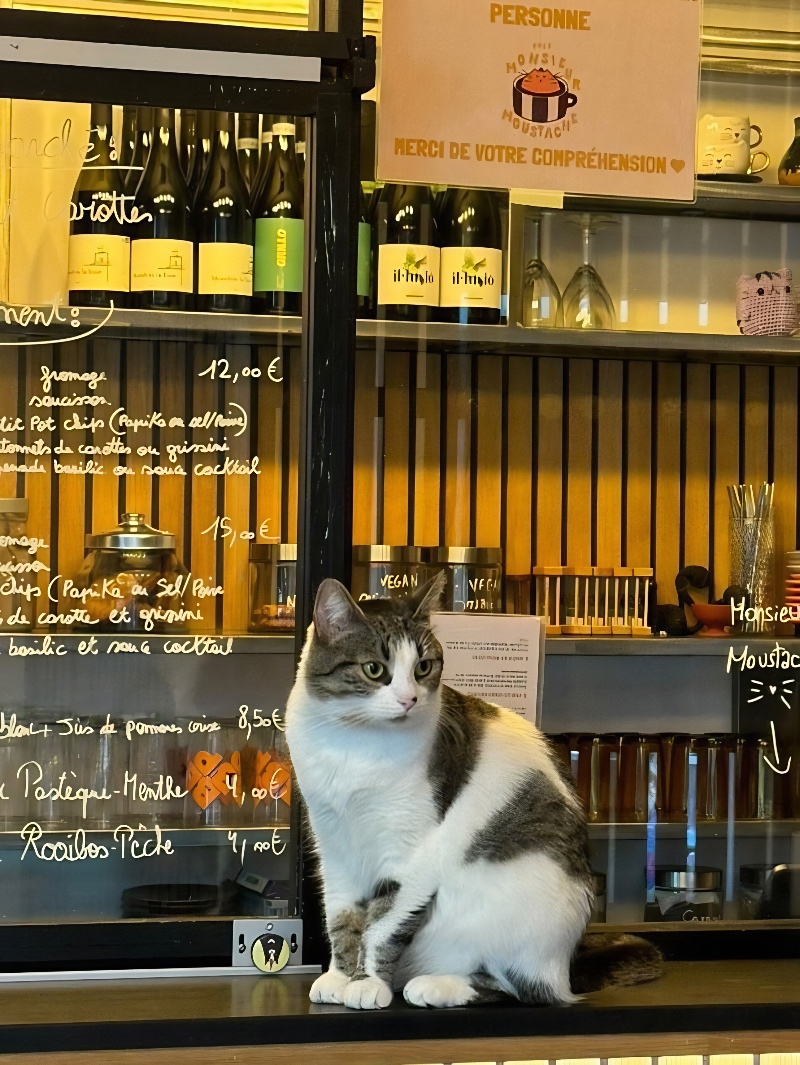 Chez Monsieur Moustache