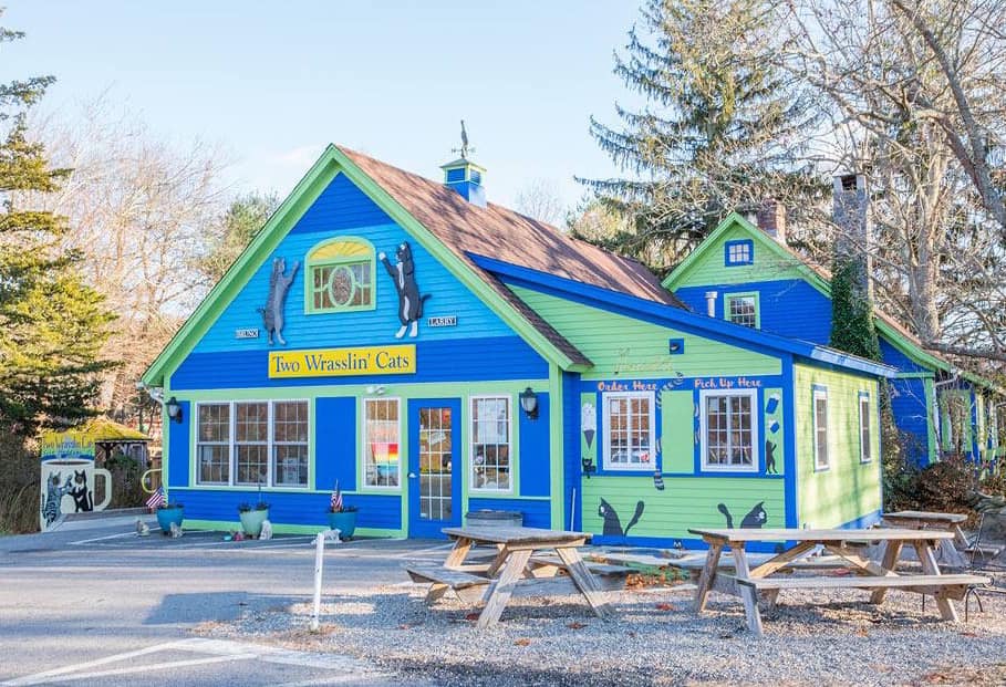 East Haddam Cat Cafe Two Wrasslin' Cats